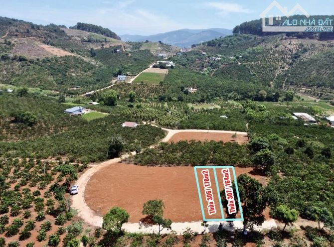 ✨ 2 Lô liền kề: Ngang 5M x Dài 34M (170m2). Đất cao thoáng View rừng thông - 570 TRIỆU/ LÔ