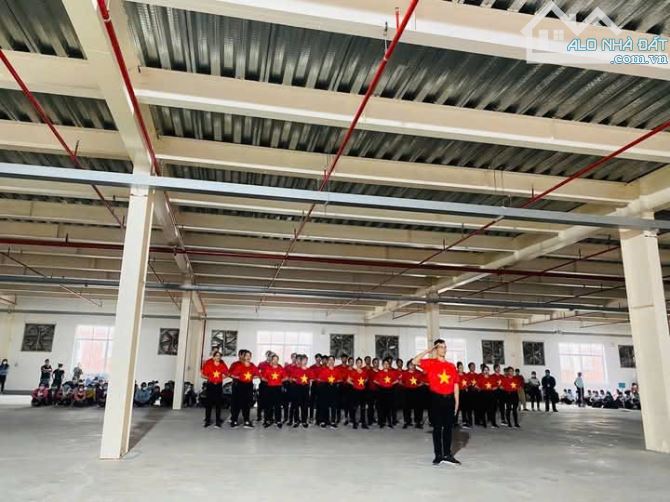 Seigroup - Cho thuê kho/xưởng độc lập tại Kiêu Kỵ, Gia Lâm, Hà Nội - 1