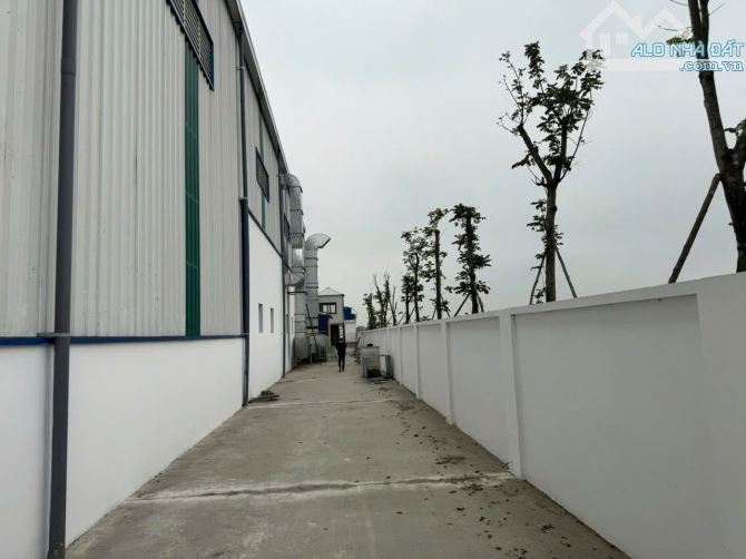 Cho Thuê 6000m2 nhà xưởng Tại Ngọc Long,Hưng Yên.Giá 80k/m2.Pháp Lý đầy đủ. - 1