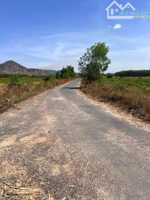 1 hecta nở hậu 2 mặt tiền đường nhựa liên xã, cách QL1A 4,7 km. - 1