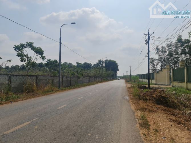 Bán 3,2 mẫu đất MT đường nhựa QH 1 phần SKC có thổ phù hợp làm kho xưởng huyện Xuân Lộc - 1