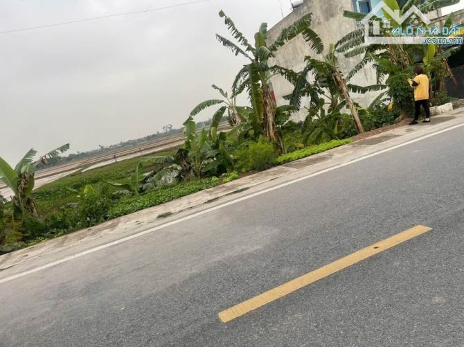 Cần bán Đất Quang Lịch - Kiến Xương.Thái Bình - 1
