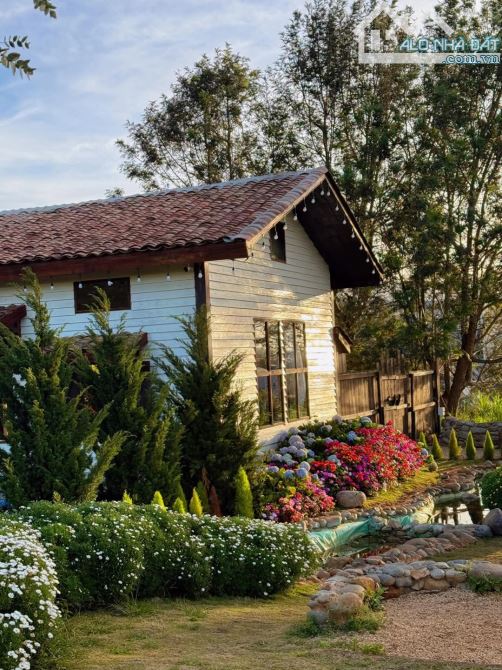 cần bán lô đất làm căn nhà nhỏ cùng sân vườn đầy hoa tại tp Đà Lạt. 523m² 👉 6ty5 - 1
