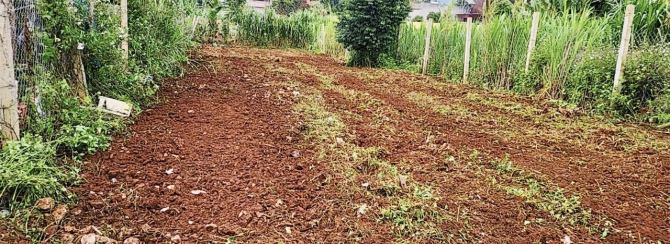 ✨ 512,7M2 (100m2 ONT) Ngang 10M Mặt Tiền đường Bê Tông 6M, cách Chợ & Sân Bay 10