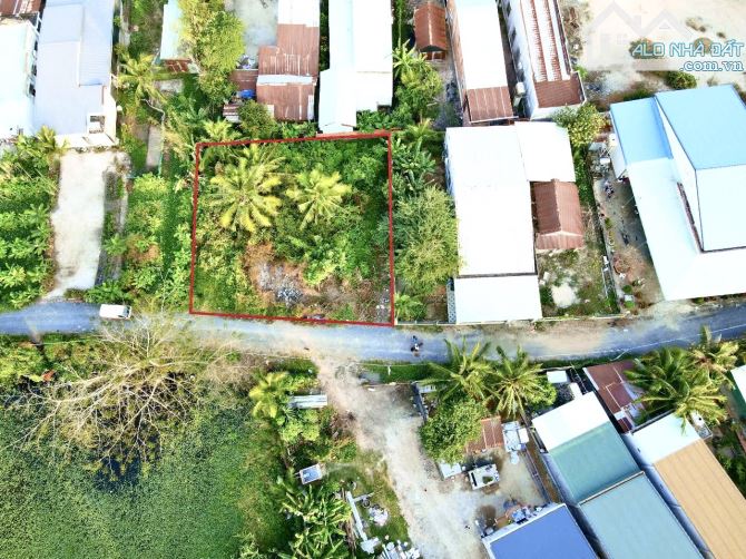 ✨ ĐƯỜNG NHỰA KDC BÀN CỜ mà giá còn RẺ hơn đường đất, Ngang 5M x Dài 22M (60m2 ONT) - 429TR - 1