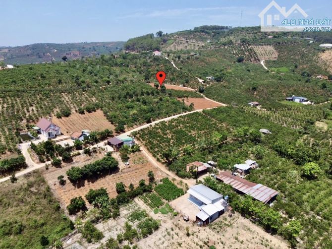 ✨ 2 Lô liền kề: Ngang 5M x Dài 34M (170m2). Đất cao thoáng View rừng thông - 570 TRIỆU/ LÔ - 1