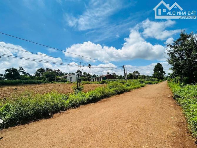 Cư Pơng - Krông Búk - Đắk Lắk giá siêu rẻ  cho nhà đầu tư - 1