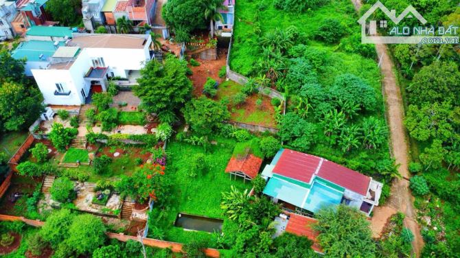 CHỈ 7,9 tỷ có ngay👇 SIÊU PHẨM TÂN LỢI 1,2 sào tc300m2 - 2