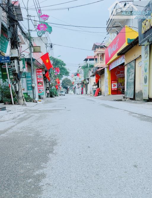 Đất đẹp phân lô ô tô ngủ trong đất Nam Hồng 159m zá rẻ - 2