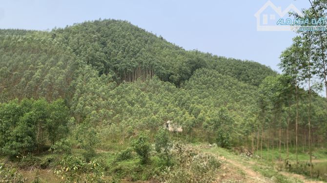 siêu rộng, 4,9ha Yên Thế, Bắc Giang, 800TC, 4 tỷ - 2