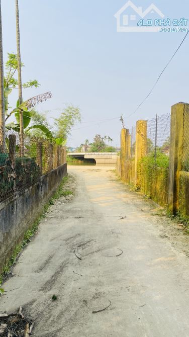 Đất kiệt sông Như Ý - Nguyễn Lộ Trạch, cạnh cầu Võ Nguyên Giáp, Huế - 3