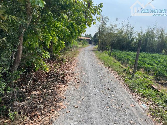 Bán đất  MT đường trải đá 1 sẹc ngắn đường An Nhơn Tây, DT 229 m, full thổ cư, An Nhơn Tây - 3
