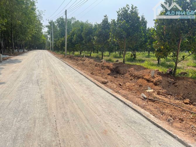 BÁN GIÚP CHỦ 2 LÔ HƠN 1000M2 CHỈ 6XX TẠI AN THÁI PHÚ GIÁO - 3
