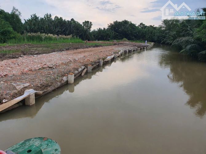 Bán gấp MT sông Phú Hữu Nhơn Trạch giá rẻ 1,5tr/m, thổ,nhà vườn siêu đẹp,oto,SR chính chu - 3