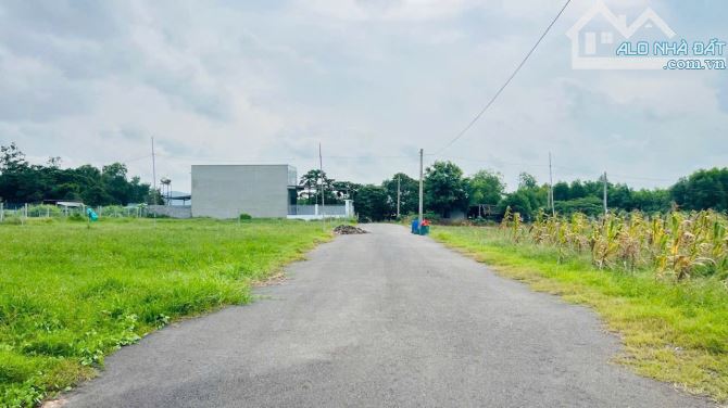 View lúa mặt tiền đường nhựa 10x27m-120tc giá 3tỷ - 3