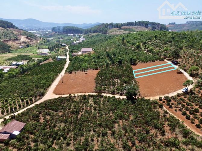 ✨ 2 Lô liền kề: Ngang 5M x Dài 34M (170m2). Đất cao thoáng View rừng thông - 570 TRIỆU/ LÔ - 3