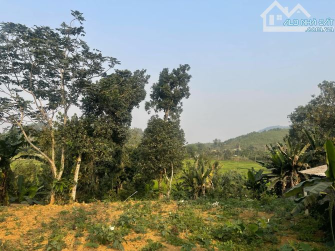 Bán đất tại Đường 446, Thạch Thất, Hà Nội, 6,5 triệu / m2, 1314 m2 - 3