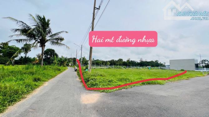 View lúa mặt tiền đường nhựa 10x27m-120tc giá 3tỷ - 4