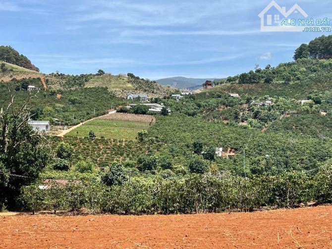 ✨ 2 Lô liền kề: Ngang 5M x Dài 34M (170m2). Đất cao thoáng View rừng thông - 570 TRIỆU/ LÔ - 4