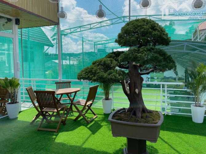 371M2 ĐẤT BIỆT LẬP KQH YERSIN - CHỈ 5 PHÚT ĐI BỘ RA HỒ XUÂN HƯƠNG - NGANG 12M SỔ CỰC ĐẸP - 4