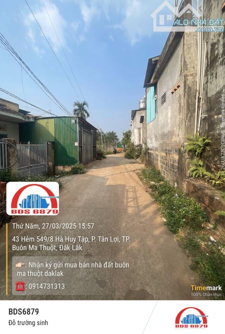 CHỈ 7,9 tỷ có ngay👇 SIÊU PHẨM TÂN LỢI 1,2 sào tc300m2 - 5