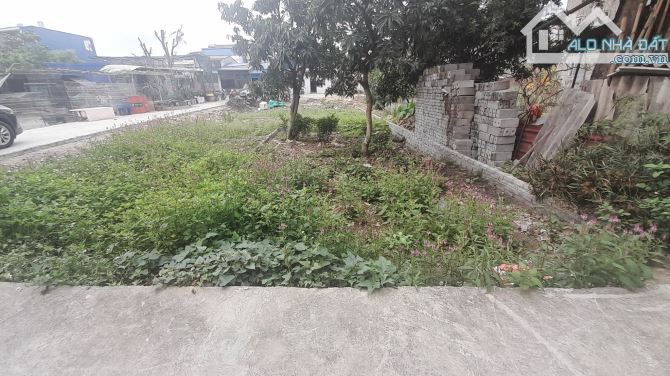 Bán đất Cam Lộ, Hùng Vương, Hồng Bàng, HP – Cơ Hội Đầu Tư Sinh Lợi Cao Chỉ 1,1 Tỷ, 45m2 - 5