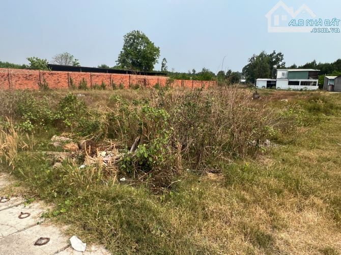 Bán lỗ đất thổ Nhơn Trạch gần vd3, oto, khu dân cư, giá rẻ 3,2ty/1459m ,SR chính chủ, GỌI - 5