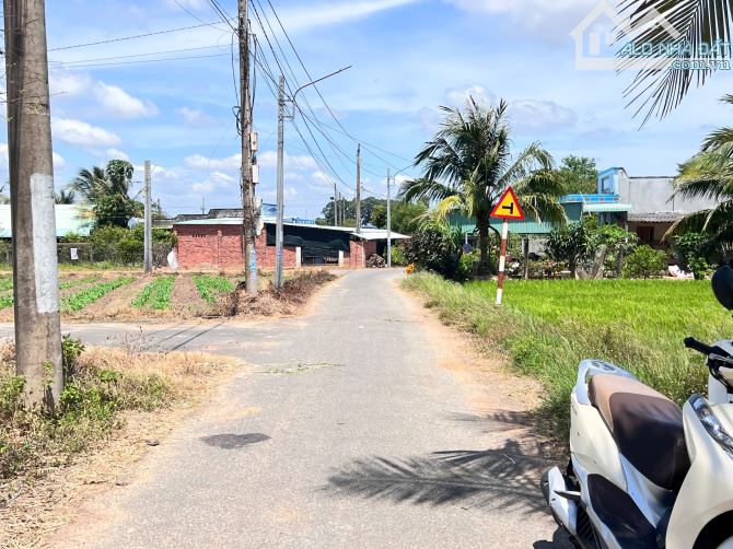 View lúa mặt tiền đường nhựa 10x27m-120tc giá 3tỷ - 5