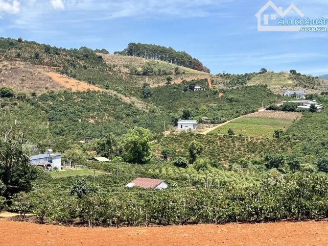 ✨ 2 Lô liền kề: Ngang 5M x Dài 34M (170m2). Đất cao thoáng View rừng thông - 570 TRIỆU/ LÔ - 5