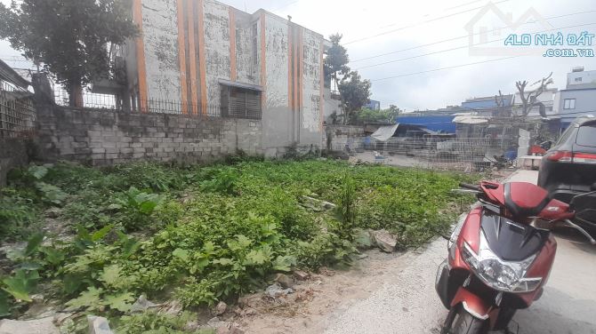 Bán đất Cam Lộ, Hùng Vương, Hồng Bàng, HP – Cơ Hội Đầu Tư Sinh Lợi Cao Chỉ 1,1 Tỷ, 45m2 - 6