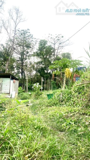Bán Đất Mặt TIền Quốc Lộ 1K  Linh Xuân  60x100 = 6131m2 GIÁ 100 TỶ Đất Kho Xưởng - 6