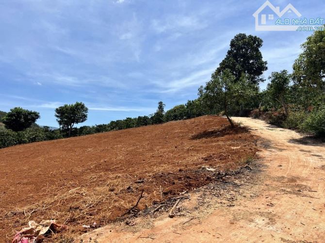 ✨ 2 Lô liền kề: Ngang 5M x Dài 34M (170m2). Đất cao thoáng View rừng thông - 570 TRIỆU/ LÔ - 6