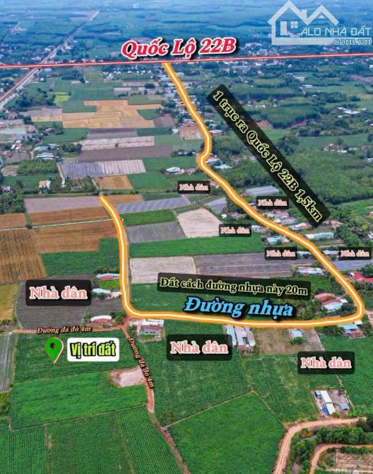 ✨ GÀN 2 SÀO QH ĐẤT Ở GIÁ RẺ (HỖ TRỢ LÊN THỔ), ngay KDC đông đúc, cách Nhựa chỉ 20M - 319TR - 6