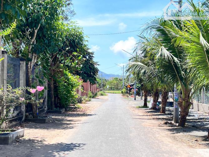 View lúa mặt tiền đường nhựa 10x27m-120tc giá 3tỷ - 7