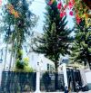 CHIẾC VILLA SÂN VƯỜN RỘNG ĐƯỜNG TRIỆU VIỆT VƯƠNG  22 TỶ