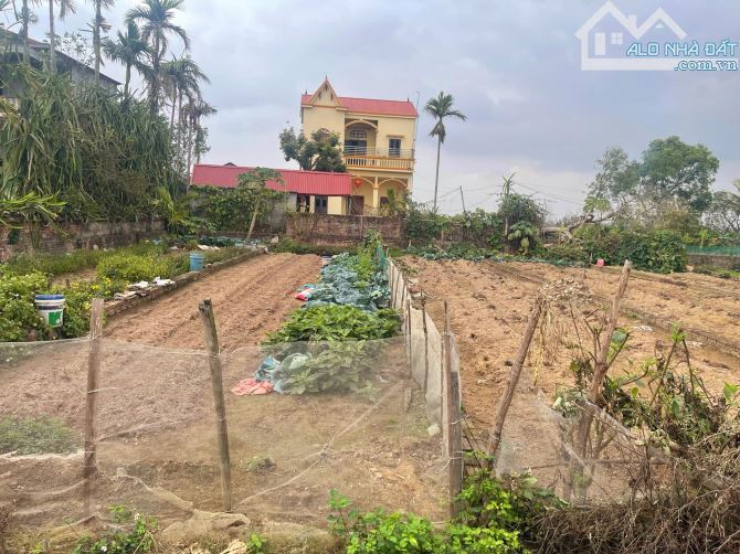 Bán Đất phân lô Mỹ Hào, Hưng Yên 118.3m2, MT 4.6m, ô tô tránh, Ở kinh doanh.1.5 tỷ.