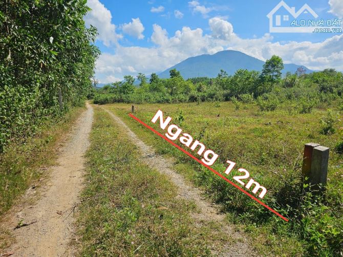 Bán đất vườn Diên Xuân giá rẻ sát bên trục đường nhựa liên xã - cách chợ Đất Sét chỉ 900m