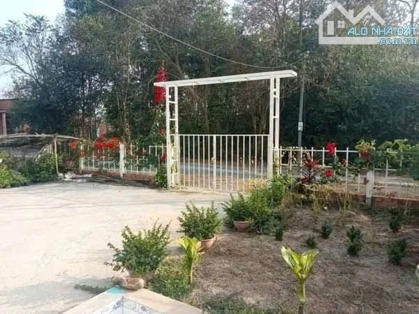 BÁN NHÀ VƯỜN 15X68M THỔ CƯ HẾT ĐẤT GIÁ RẺ NHƯ ĐẤT TRỒNG CÂY