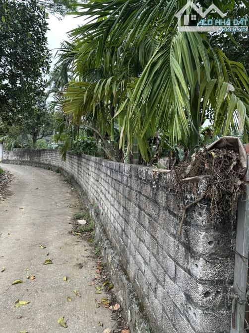 Bán đất 3000m2 Đất Lô góc Thôn  Đồng Bồ Xã Đông Xuân, Quốc Oai, Hà Nội , Giá chỉ 5,3tr/m