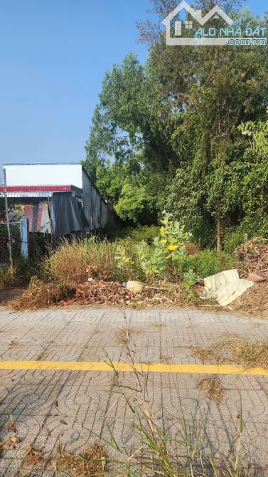 Bán đất mặt tiền đường Tắc Xuất, Cần Thạnh, DT 258.7m2, ngang 7.5x34m, giá 60tr/m2
