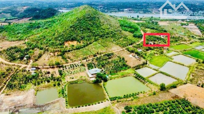 Đất Vườn 3734m2_400m2 Thổ Cư_Đường QH 33m_27m mặt tiền_Gần Hồ Lớn_ chỉ 550 Triệu