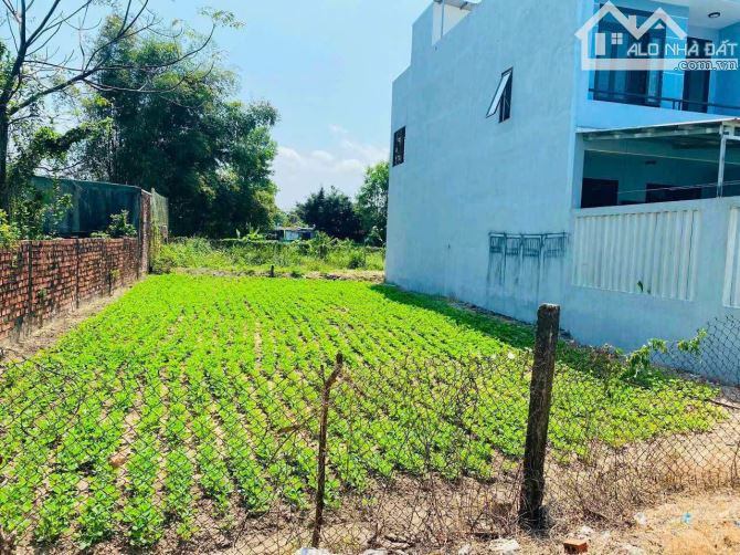 BÁN LÔ ĐẤT HẺM 363 NGUYỄN TRÃI ĐƯỜNG OTO TẢI TRUNG TÂM TP QUẢNG NGÃI