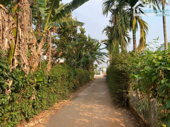 BÁN LÔ ĐẤT ĐẸP CÁCH ĐẠI LỘ VÕ NGUYÊN GIÁP 50M, HOÀ THẮNG, TP. BUÔN MA THUỘT - GIÁ: 2,6 TỶ - 1