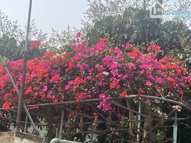 Hiếm! Lô góc 230m kinh doanh mọi mặt hàng đường 377 cạnh TT Khoái Châu. Rẻ như trong ngõ - 1