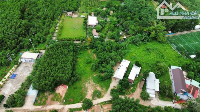 Đất xây nhà vườn 1100m2 có 200m2 đất ở ngang 20m rất đẹp xã hòa phú - 1