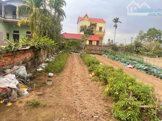 Bán Đất phân lô Mỹ Hào, Hưng Yên 118.3m2, MT 4.6m, ô tô tránh, Ở kinh doanh.1.5 tỷ. - 1