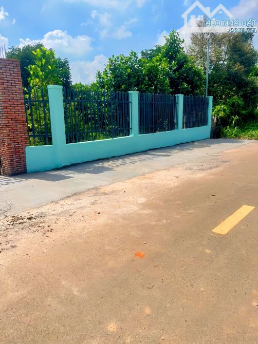 Cần bán vườn trái cây trĩu quả 1.253m2 đất, mặt tiền đến 27m, sau lưng có suối Long Phước - 1