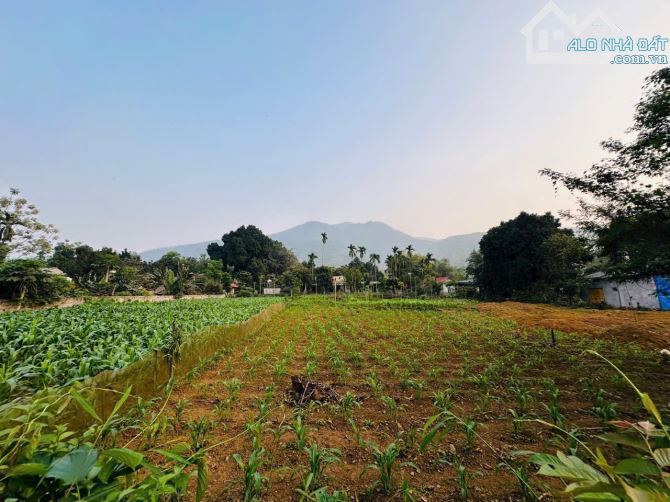 Cần chuyển nhượng nhanh DT: 1119m2/200m2 ONT tại xã Cao Sơn, Lương Sơn, Hòa Bình - 1