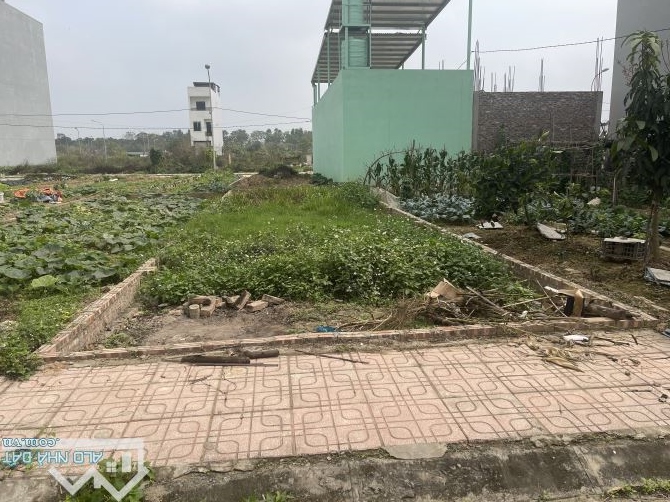 Đất DV Song Phương Khả Năng Sinh Lời Lớn Trục Đại Lộ Thăng Long Mặt Tiền 5m 110 Triệu 1m2 - 1