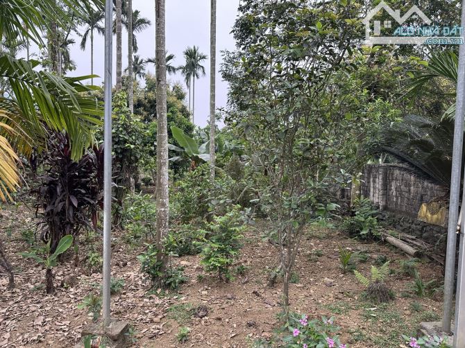 Bán đất 3000m2 Đất Lô góc Thôn  Đồng Bồ Xã Đông Xuân, Quốc Oai, Hà Nội , Giá chỉ 5,3tr/m - 1